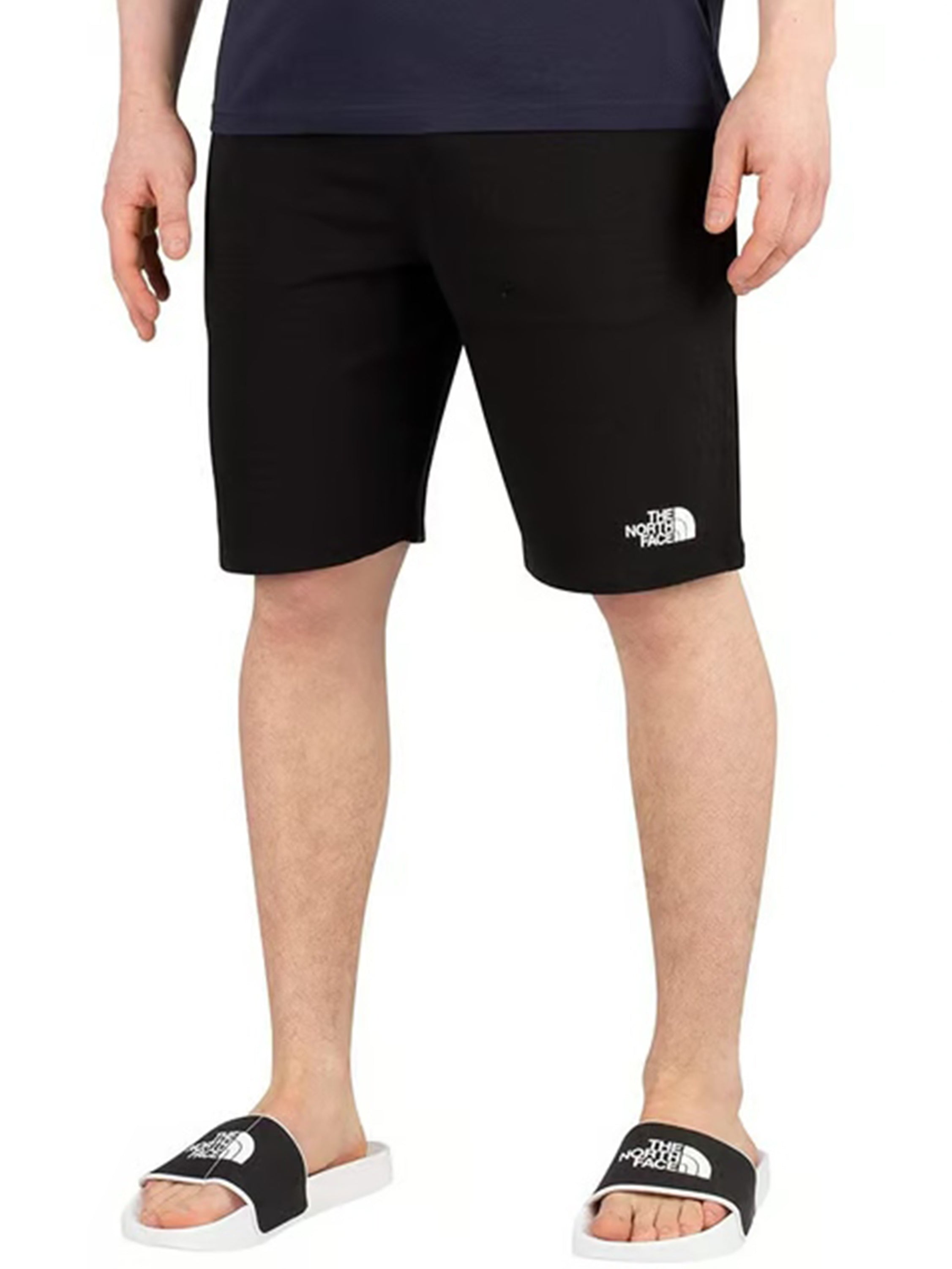 The North Face | Mens Standard Shorts