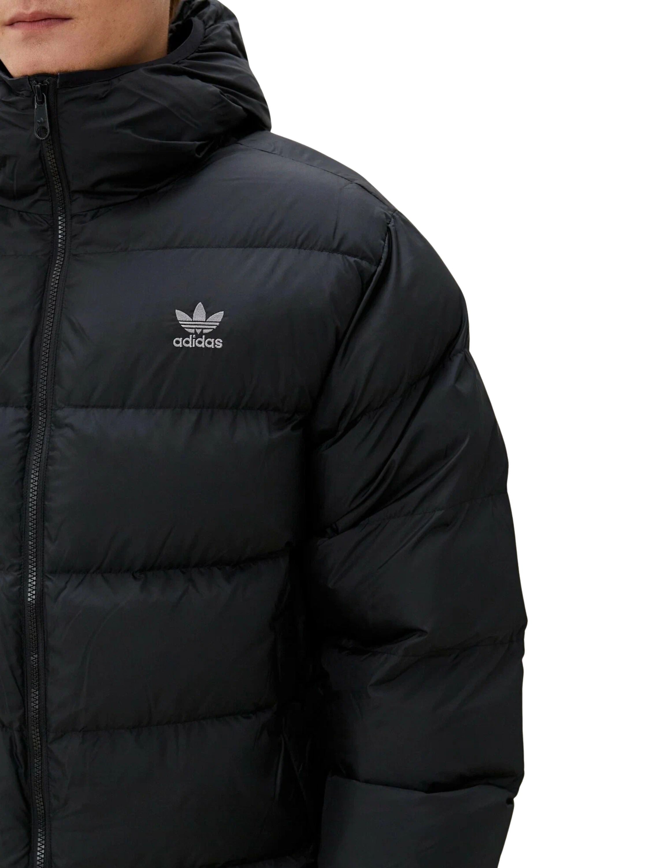 Adidas | Mens Hooded Puffer Jacket
